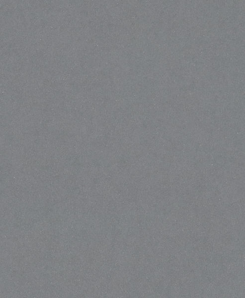 PRO C355 Schleifrolle, 230&nbsp;x&nbsp;280&nbsp;mm, 600 Produktbild img1 L