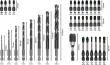 PRO Impact Schrauberbits und Metallbohrer Mixed Set, 35-tlg. Produktbild img3 S