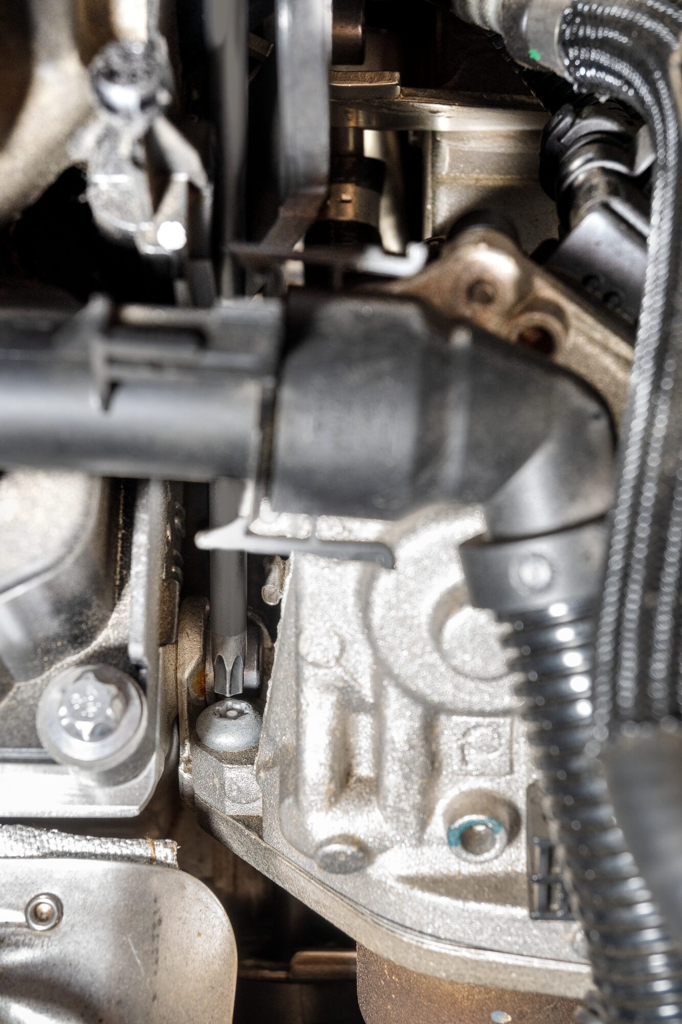 HAZET TORX® Schraubendreher-Einsatz für AGR-Ventil BMW und MINI 8502LG-T30H ∙ 1/4 Zoll (6,3 mm) Vierkant hohl ∙ Tamper Resistant TORX® Profil ∙ SW T30H Produktbild img2 L