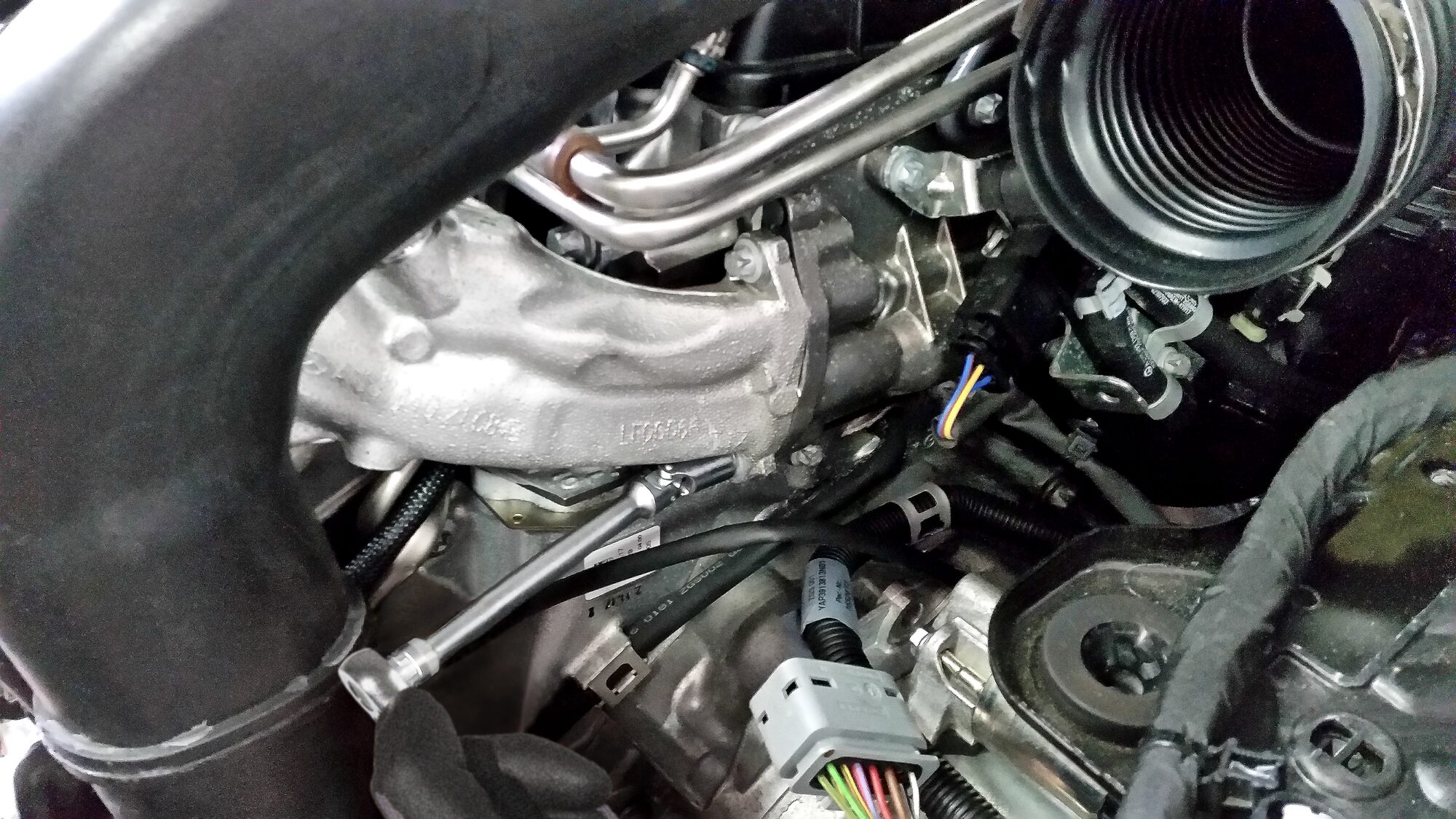 HAZET Steckschlüsseleinsatz 850LG-GE10 ∙ 1/4 Zoll (6,3 mm) Vierkant hohl ∙ Außen TORX® Profil ∙ SW E10 Produktbild img3 L