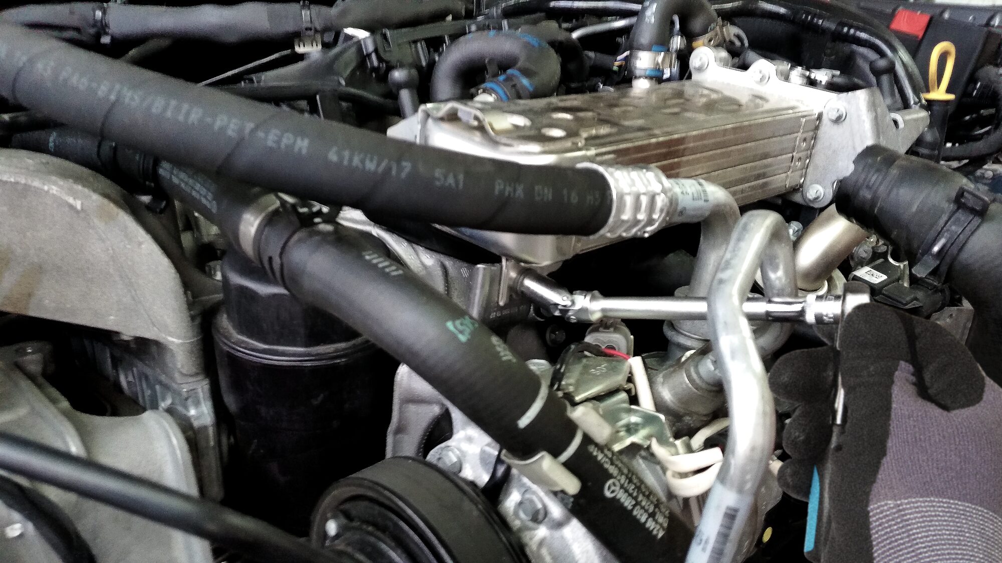 HAZET Steckschlüsseleinsatz 850LG-GE10 ∙ 1/4 Zoll (6,3 mm) Vierkant hohl ∙ Außen TORX® Profil ∙ SW E10 Produktbild img2 L