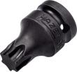 HAZET Schlag-, Maschinenschrauber Schraubendreher-Steckschlüsseleinsatz 995S-T60 ∙ 1/2 Zoll (12,5 mm) Vierkant hohl ∙ Innen TORX® Profil ∙ SW T60 Produktbild img1 S