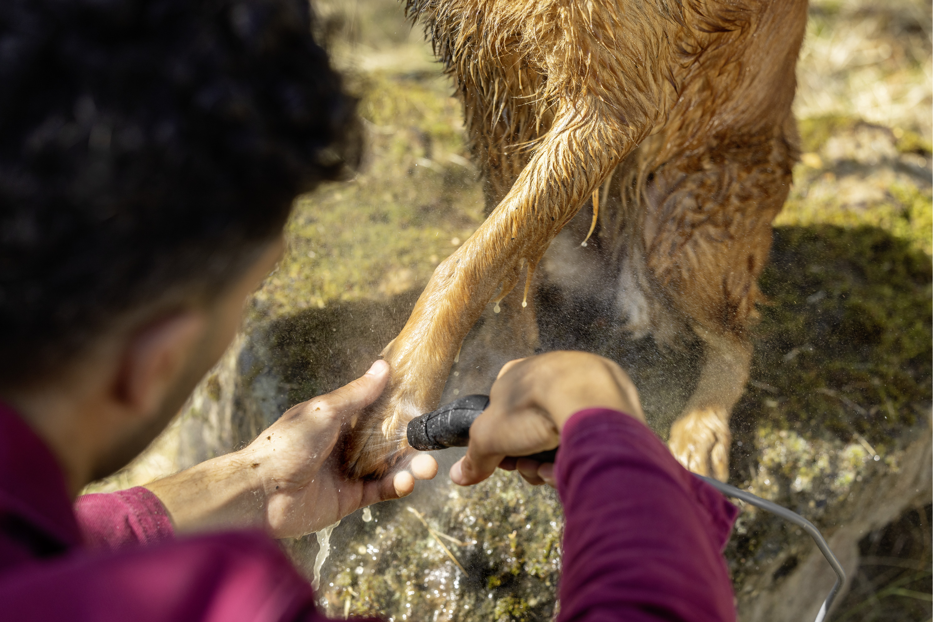 Kärcher Kegelstrahldüse Produktbild img4 L