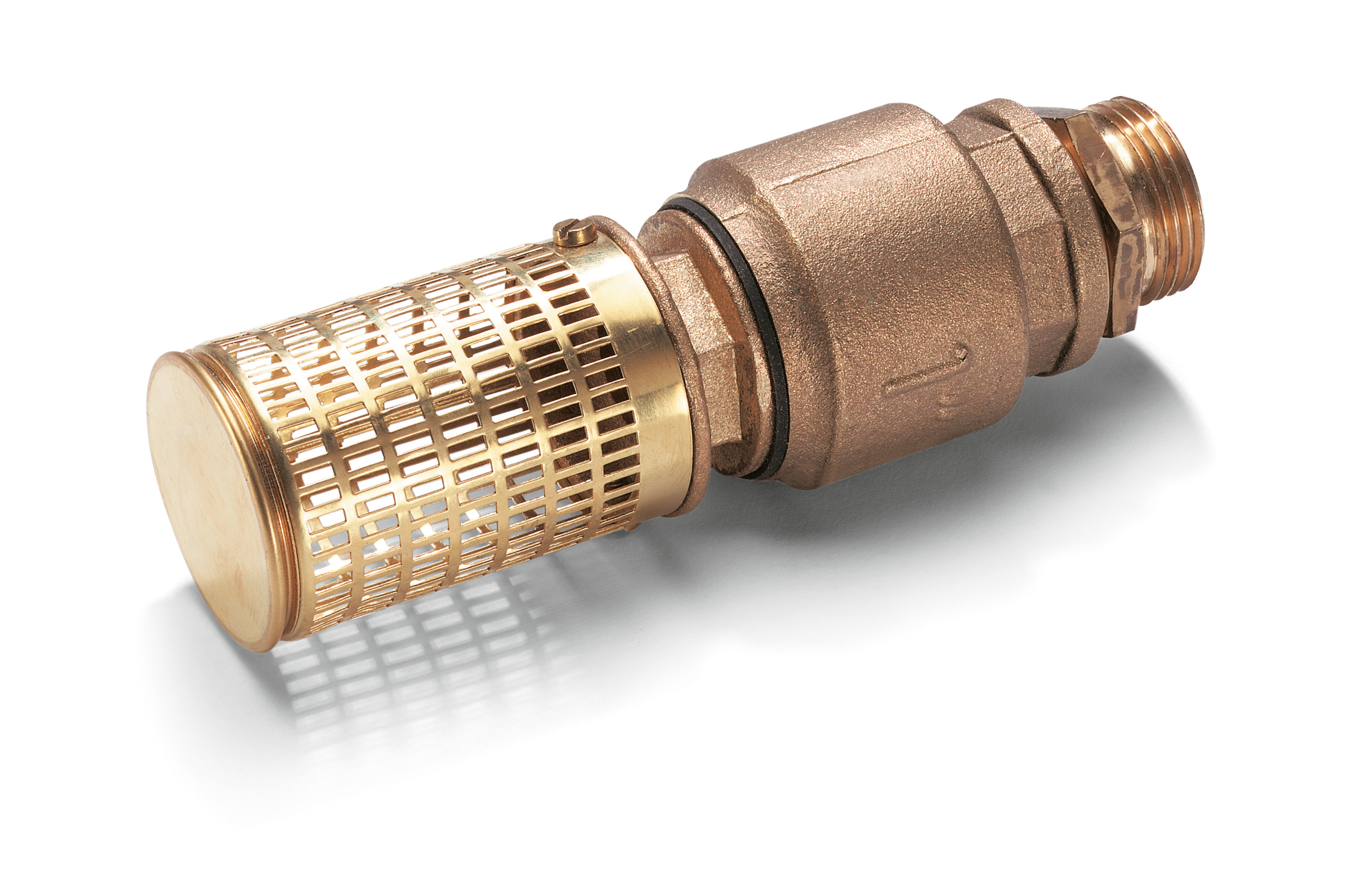 Kärcher Saugfilter mit Rückschlagventil Produktbild img1 L