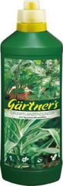 Grünpflanzendünger mit Spurenelemente, 1 l Produktbild