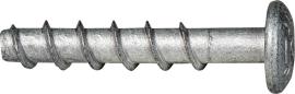 CELO Betonschraube BTS PT 6-55/5 Pan head TX30, ZnAl Produktbild