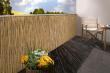 Schilfrohrmatte120 x 600 cmcomfort plus sartikel Produktbild img1 S