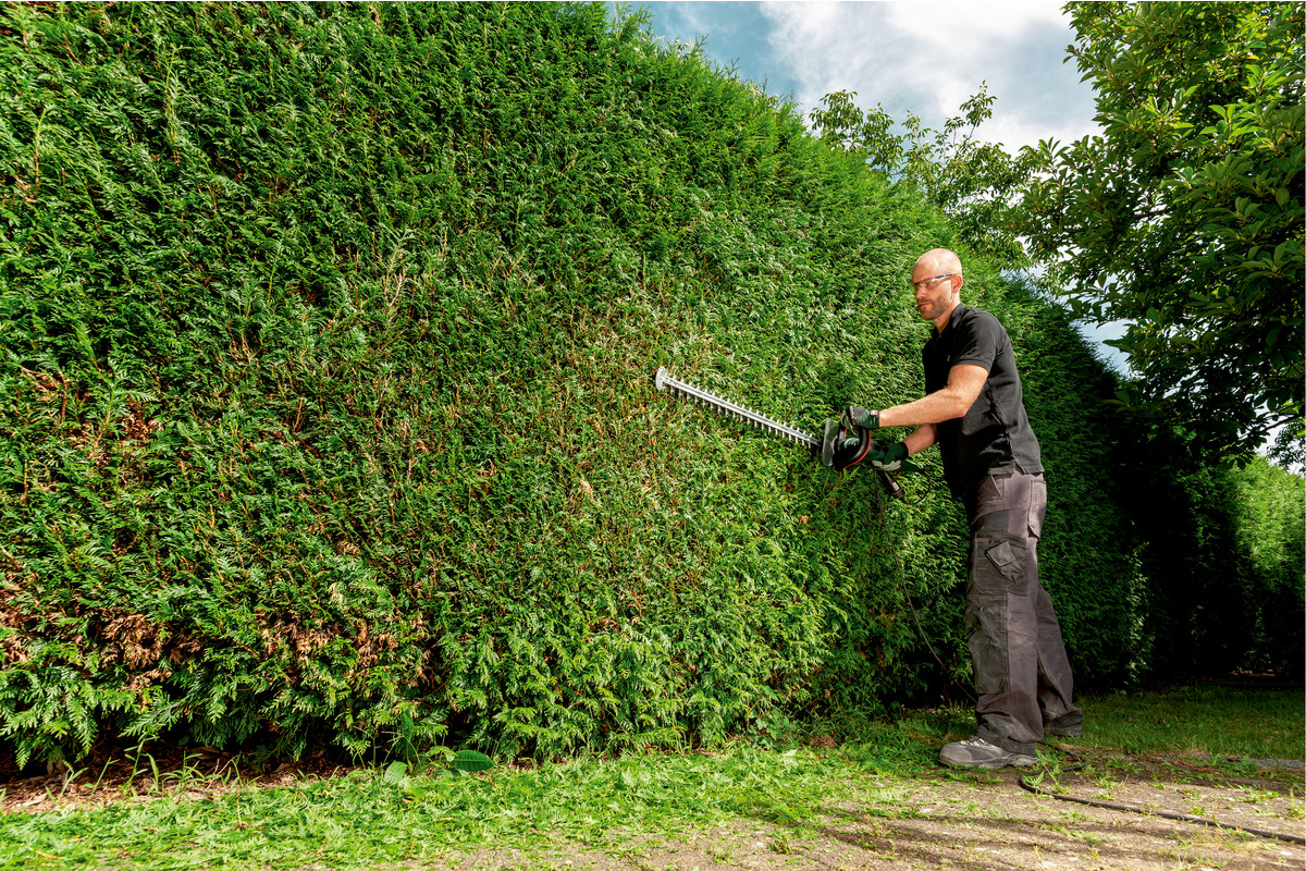 Heckenschere HS 8875 (608875000); Karton Produktbild img7 L