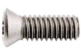 10 Befestigungsschrauben für Wendeplatten (623566000) Produktbild