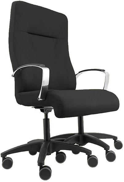 Schwerlastsessel EXA Schwerlastsessel EXA Hochlehner, Kopfstütze belastbar bis 350 kg Produktbild img2 L