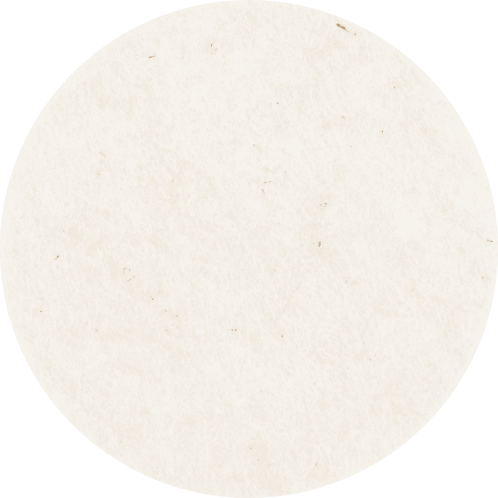 PFERD COMBIDISC-Schleifwerkzeuge CDR FR 50 Produktbild img2 L