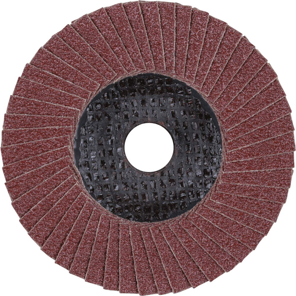 PFERD POLIFAN-Fächerscheiben PFF 100 A 40 SG STEELOX/16,0 Produktbild img3 L