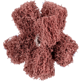 PFERD Vlieswerkzeuge PNST 50-2 A 80 Produktbild