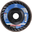 PFERD POLIFAN-Fächerscheiben PFC 125 Z 60 SG POWER TRIM STEELOX Produktbild img2 S
