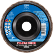 PFERD POLIFAN-Fächerscheiben PFF 125 Z40 SGP FORCE STEEL Produktbild img2 S