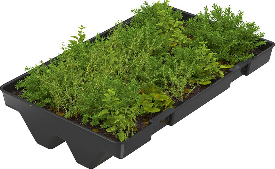 Dachbegrünung GreenPlus Economy zu Raucherunterstand Köln K2 Produktbild img1 L