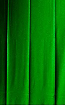 TransFlex Schutz.,1teiligeurogrün Vorhang 0,4mm BSSINOtec Produktbild img1 L