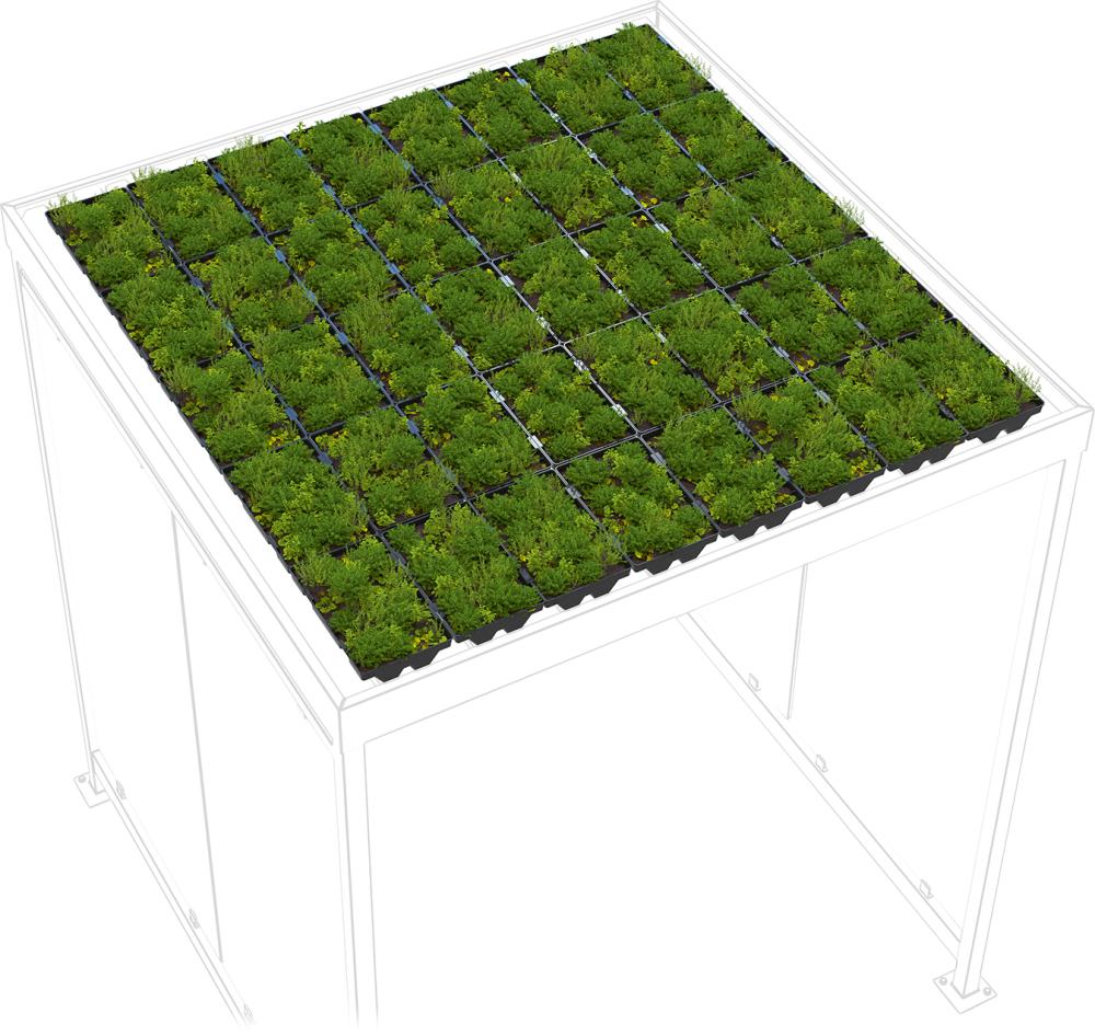 Dachbegrünung GreenPlus Economy zu Raucherunterstand Köln K2 Produktbild img2 L