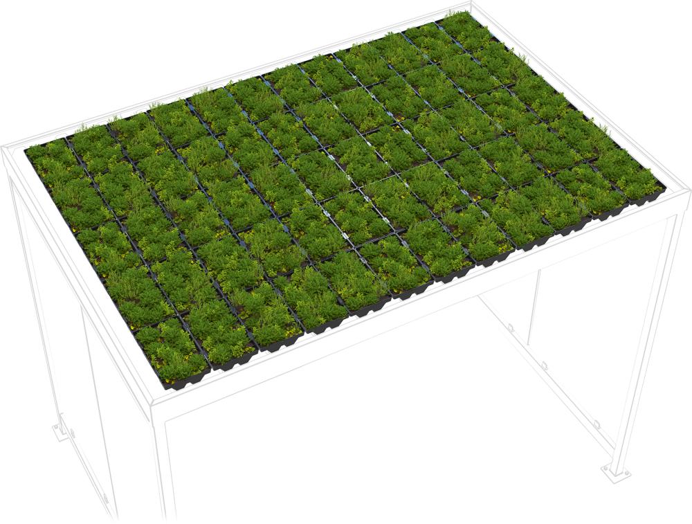 Dachbegrünung GreenPlus Economy zu Raucherunterstand Köln K3 Produktbild img2 L
