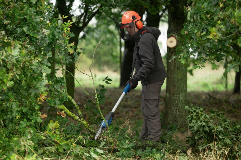 Akku Kettensäge solo GKE 18V-25 TP Bosch ohne Ladegerät Karton Produktbild img7 L