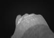 Antistatikhandschuh, 8700ESD3D, Gr. 9 Nitras Produktbild img5 S