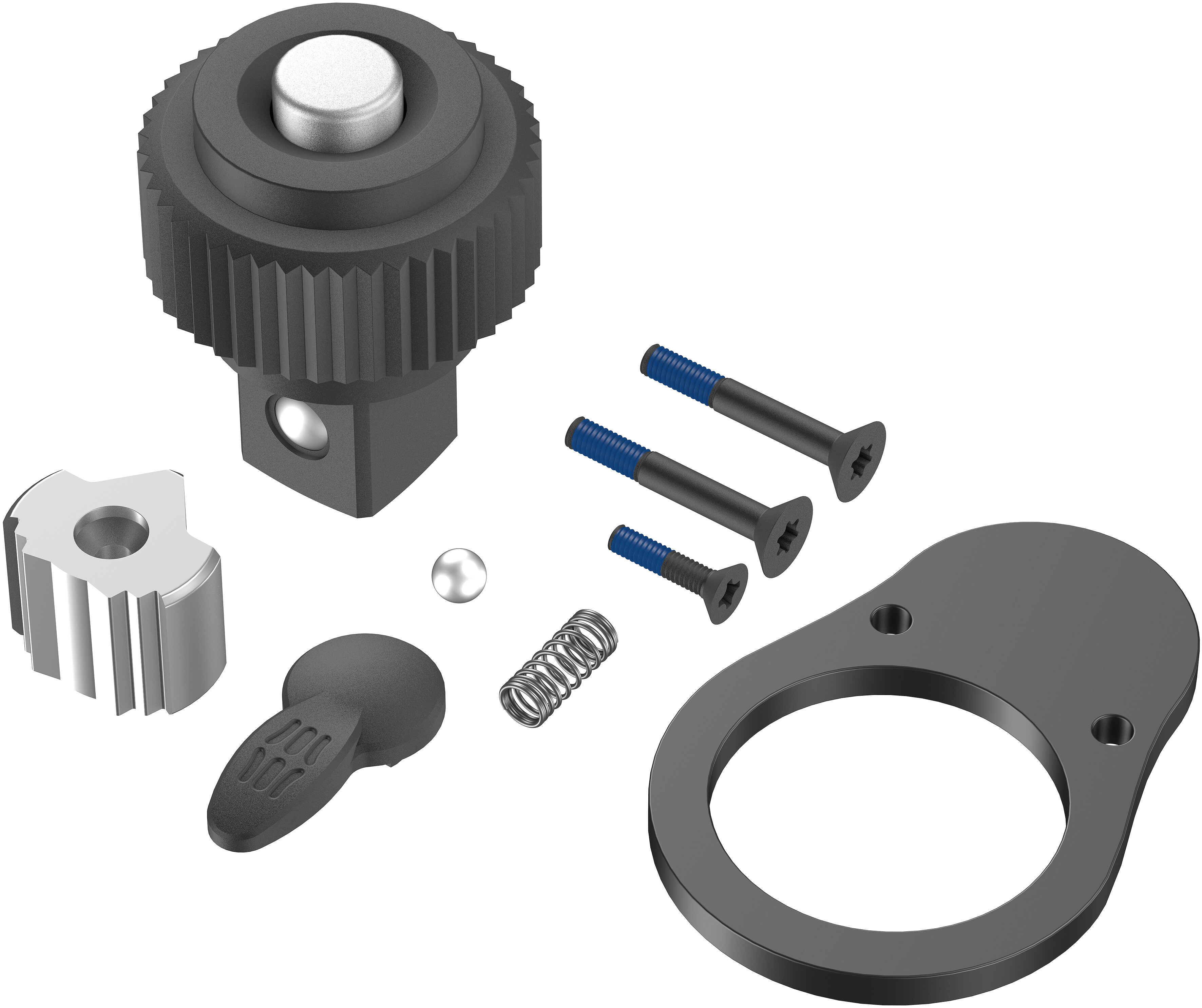 9909 E 1 Knarren-Reparaturkit für Click-Torque E 1 Drehmomentschlüssel Produktbild img1 L