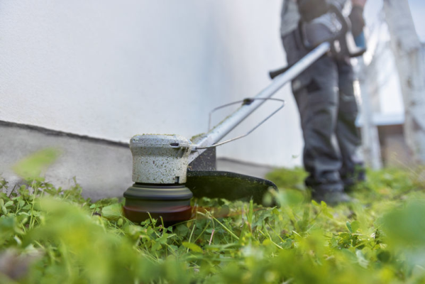 Bosch Akku-Rasentrimmer GRT 18V-33 solo im Karton Produktbild img2 L
