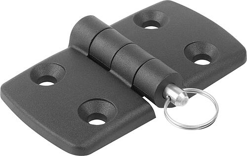 KIPP Scharniere Kunststoff, trennbar, demontierbar, Form B, mit Bolzen/Kopf und Schlüsselring Produktbild img1 L