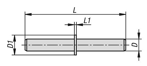 ACHSE FÜR SCHARNIER, FÜR ALUMINIUMPROFILE D=6, L=50, EDELSTAHL 1.4301 BLANK Produktbild img2 L