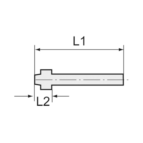 Schlauchtülle Messing mit Kugelnippel Schlauch-Innen-Ø9 RIEGLER Produktbild img2 L
