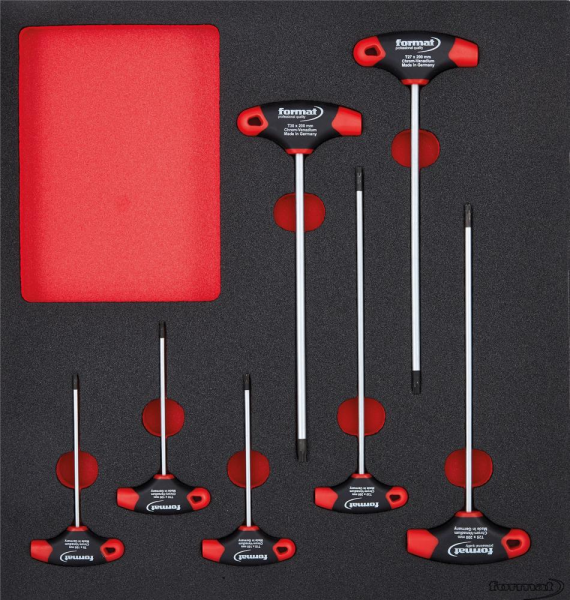 Werkzeugmodul 2/3 T-Griff Torx FORMAT Produktbild img1 L