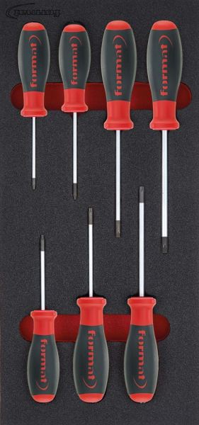 Werkzeugmodul 1/3 Schraubendreher Torx FORMAT Produktbild img1 L