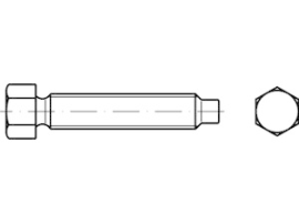 DIN 561 22 H (8.8) Ri Sechskantschrauben mit Zapfen und kleinem Sechskant,mit Ri Produktbild