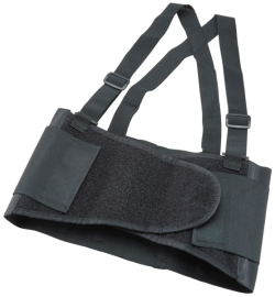 Rückenstütze Safebelt Produktbild