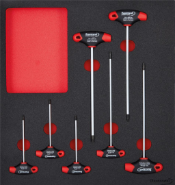 Werkzeugmodul 2/3 T-Griff Torx FORMAT Produktbild