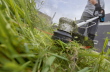 Bosch Akku-Rasentrimmer GRT 18V-33 solo im Karton Produktbild img6 S