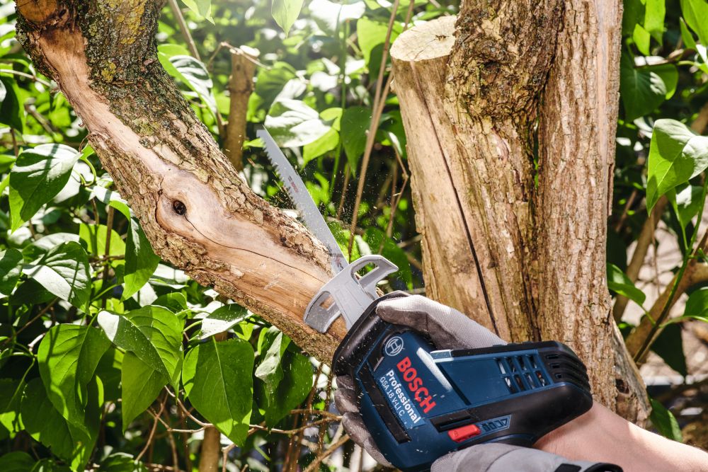Bosch PRO Säbelsägeblatt S 1531 L, Top for Wood, 5er-Pack Produktbild img4 L