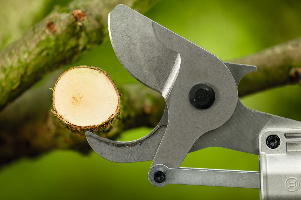 Bosch PRO Akku-Gartenschere GGP18V-45EP Produktbild img4 L