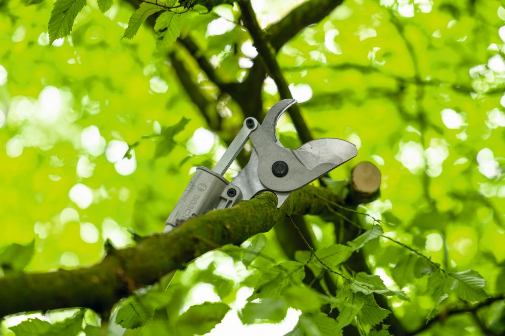 Bosch PRO Akku-Gartenschere GGP18V-45EP Produktbild img3 L