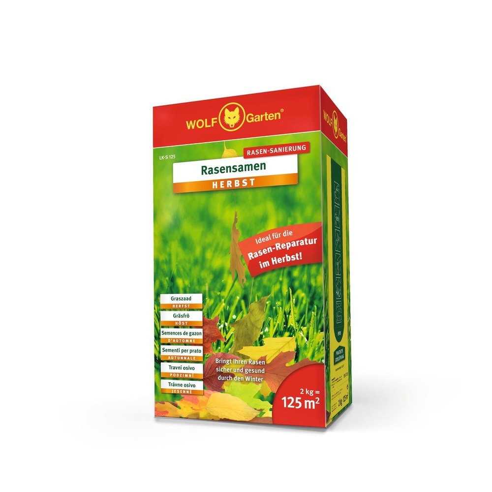 WOLF-Garten Herbst-Rasensamen LK-S 125 2 kg Produktbild img1 L