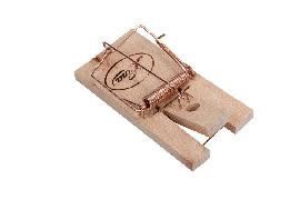 floraworld Rattenfalle Classic16,5x8,5 cm Hartholz Produktbild