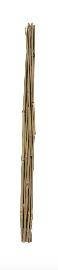 floraworld Tonkinstab ClassicØ 5-7mm L=60cm 10 Stk. Produktbild