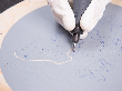 Dremel DREMEL Zubehör-Set für Holzarbeiten, 20-teilig Produktbild img3 S