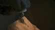 Dremel Hochgeschwindigkeits-Fräsmesser 6,4 mm Produktbild img5 S