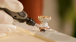 Dremel DREMEL Zubehör-Set für Holzarbeiten, 20-teilig Produktbild img6 S