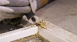 Dremel Fräser (HSS) 6,4 mm Produktbild img5 S
