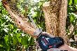Bosch PRO Säbelsägeblatt S 1531 L, Top for Wood, 5er-Pack Produktbild img4 S