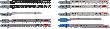 Bosch PRO Wood and Metal Stichsägeblatt Set, T 144 DP, T 123 XF, 100&nbsp;mm, 10-tlg. Produktbild