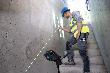 Bosch PRO Kombilaser GCL 12V-50-22 CG Produktbild img5 S