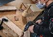 Bosch PRO Wood Holzspiralbohrer, 16 x 190 x 250 mm Produktbild img7 S